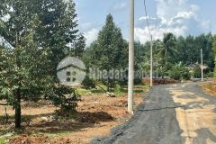 Cần bán gấp lô đất vườn trái cây 1100m2 giá 330tr