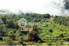 Ban đât view săn mây tiên canh nhân gian