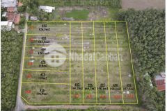 Thạnh đức,gò dầu,tây ninh,up còn 7 lô full thổ cư,giá chỉ 350 triệu.