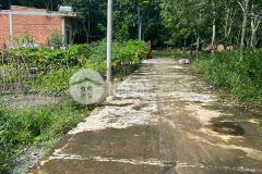 Cô tôi cần vốn kinh doanh sang lại gấp miếng đất thổ cư 300m499 triệu