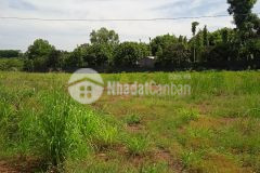 Bán đất sông thao 1200m2 giá giảm sâu 1ty9