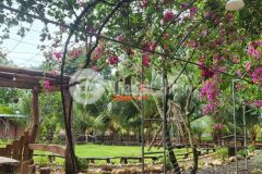 Bán khu nhà vườn 1 sào 6 phường khánh xuân gần trường nơ trang lơng