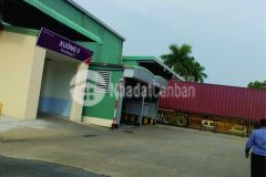 Chuyển nhượng 100 cpcty và ts tại mặt đương 379 hưng yên