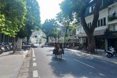 Hiếm mặt phố hồ xuân hương mặt tiền rộng cho thuê kinh doanh giá tốt 137m 37tỷ