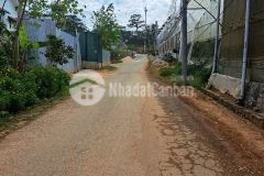 Ban đât xây dưng đương ngô gia tư p12 đa lat