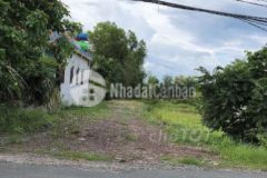 Cần bán gấp lô đất mặt tiền đường tân hội, ấp chánh, đức hoà