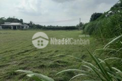 Hàng ngợp tại xã đức lập thượng, huyện đức hoà