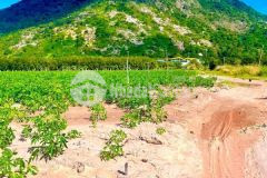 Bán miếng đất ở tân châu tây ninh view núi bà đen 5x25, sẳn 30m thổ cư, 3xx