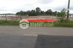 Cần bán đất mt tỉnh lộ 7 nối dài đến đường qln2,284m2 fullthổ 1tỷ450