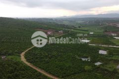 Bán đất nghỉ dưỡng 600 triệu sào tại hoài đức, lâm hà, lâm đồng