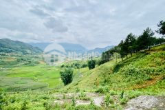 Đất nền sapa,mặt đường quốc lộ 4d view thung lũng cực đẹp phù hợp làm nghỉ dưỡng,địa điểm checkin,..