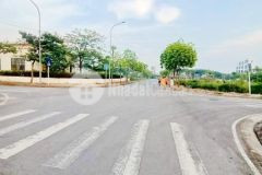 Siêu phẩm cực hiếm tại trâu quỳ gia lâm kinh doanh tốt, đầu tư chắc thắng