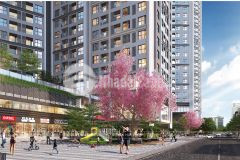 Bán hoàng huy commerce hải phòng