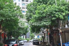 Cần bán gấp nhà phân lô ngô thì nhậm, hà đông hà nội.diện tích 55m. giá 6 tỷ.liên hệ 058.816.8888