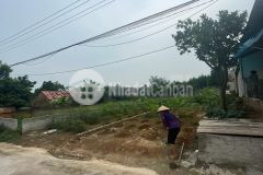 Chính chủ bán đất tại lan mẫu, lục nam, bắc giang chính chủ bán đất tại lan mẫu, lục nam, bắc giang.