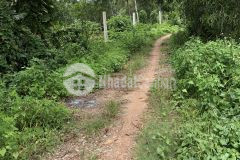 Bán đất rẻ nhất hóc môn diện tích 4 x 15 đường xe tải tới đất.