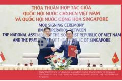 Vsip địa chỉ đáng tin cậy về bất động sản công nghiệp đô thị dịch vụ du lịch