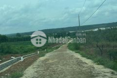 Bác tôi cần vốn kinh doanh bán gấp miếng đất thổ cư 500m185 triệu