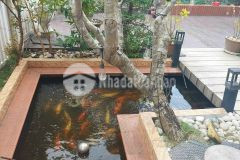 Bán biệt thự sân vườn ngay mt vườn lài quận 12, shr 195m2 15 tỷ. lh0909156970