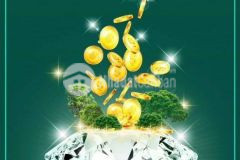 2 lô liền kề ngang 11m,sổ từng lô,sát chợ,cách tthc huyện duy xuyên 700m.