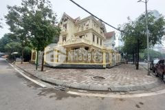 Bán biệt thự độc nhất linh đàm 250m25tmt15m lô góc phân lô bàn cờ vỉa hè 50 tỷ.