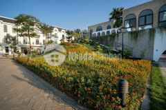 Cắt lỗ 1tỷ liền kề khu hermes crown villas thái hưng, mua bán nhà biệt thự liền kề kđt crown villas