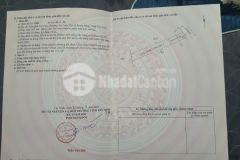 Bán đất trảng bàng 203,1m2 có sẵn 50m2 thổ cư shr chỉ 1.25 tỷ. lh0932104627