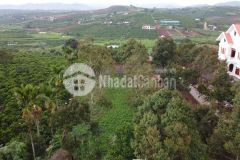 Bán đất hoài đức 425 triệum mặt tiền nhựa dt725 tc150m2 dt 1855m2 lâm hà, lâm đồng