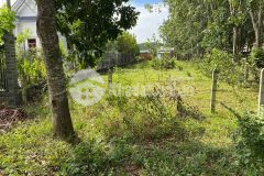 Bán đấtt đường cây trom mỹ khánh củ chi giá rẻ