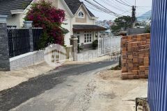 Ban nha srxd đương nhưa ô tô gia 4 ty 3 đa lat