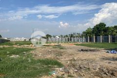Đất đẹp 4900m2 huỳnh thị na, đông thạnh hóc môn giá tốt