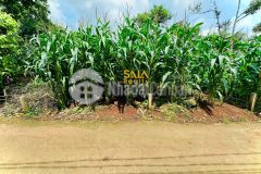 Đất 15a hoà thuận gần ngay nhiên garden 10 x 13m chỉ 820 triệu