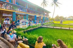 1.000m2 có 3 mặt view lúa mát mẻ, gần trung tâm, gần sông