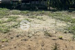 Bán 115,8m2 đất ấp long thới, xã long an, shr chỉ 430tr. lh0942620340