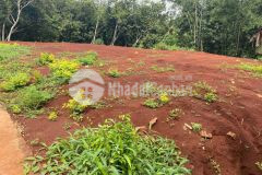 Bán đất giáp thị trấn lộc ninh, bình phước giá rẻ nhất thị trường