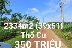 Chịu lỗ bán gấp hơn 2 sào đất, có sẵn thổ cư 200m2 giá bèo bọt chỉ có 350 triệu