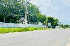 Chính chủ cần bán đất xã phước thể, tuy phong, bình thuận, diện tích 200m2