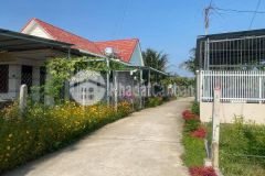 Bán đất diên phước giá siêu rẻ cần bán gấp