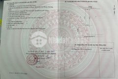 Thỏa mãn cơn khát đất nền trong cơn sốt đất nền sổ đỏ bình thuận