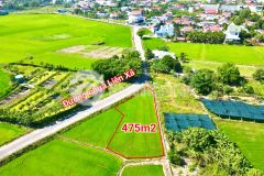 Bán đất làm vườn diên sơn giá rẻ mặt tiền đường nhựa liên xã