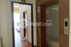 Gia sâp san măt tiên nguyên thi thâp q.7