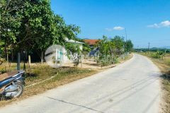 Bán đất khánh bình giá rẻ có thổ cư mặt đường bê tông liên thôn