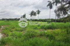 Bán đất nhị bình hóc môn giá rẻ, 5461m2 chỉ 33 tỷ tl