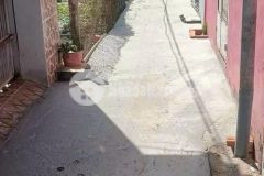 Đất thổ cư phong thuận tân mỹ chánh cách ql50 500m