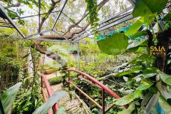 Cho thuê 1 sào 20 x 50m mặt tiền y moan tuyệt đẹp 12 triệu tháng