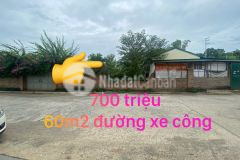 Bán 61m2 mặt tiền 5m tại thôn 2 thạch hoà giá 700 triệu