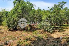 Bán 3 sào 6 đất 400m thổ cư tại phường khánh xuân