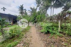 Bán gấp nhà vườn giá rẻ, 2534m2 chỉ 17 tỷ,võ thị đầy, hóc môn