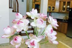 Bán nhà pháo đài láng,48m,5 tầng,gần phố,nhà ở luôn, 6.7 tỷ,0348051001