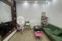 Bán nhà nằm đường số 10 tân quy đường rộng 5m, dt 4x15 7.3 tỷ